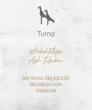 turna_a23681c2-fb6b-4d94-834b-84d295cd61b1