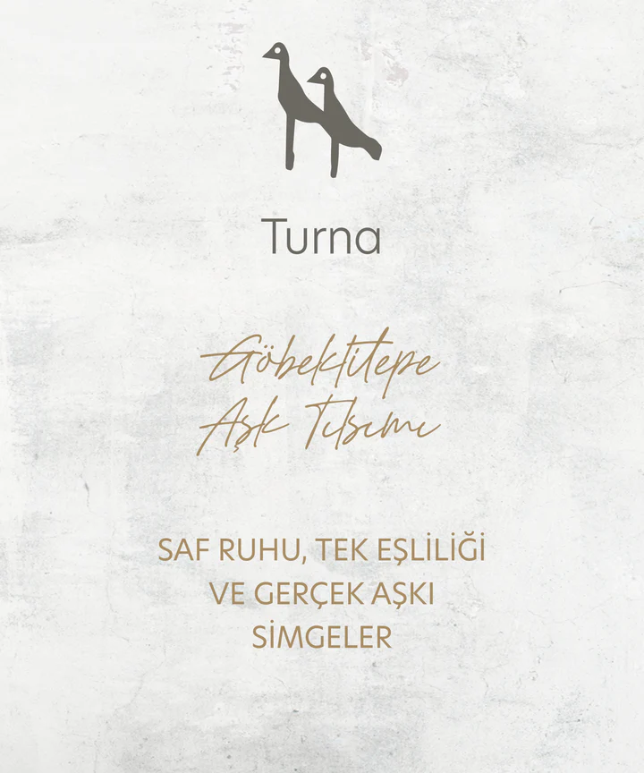 turna_a23681c2-fb6b-4d94-834b-84d295cd61b1