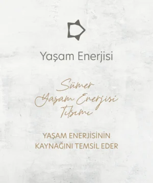 urun_webgorselleri-sumer_yasamenerisi_turkce_1b8c37fa-9174-4448-8754-16e8407284ab